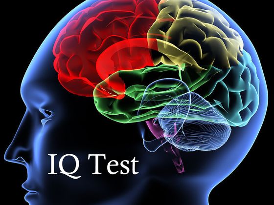 Test Your IQ